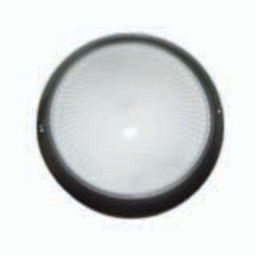 ga1041sjpg