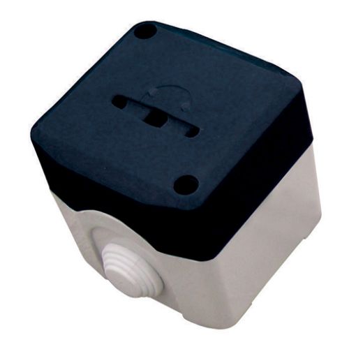bt310200002jpg